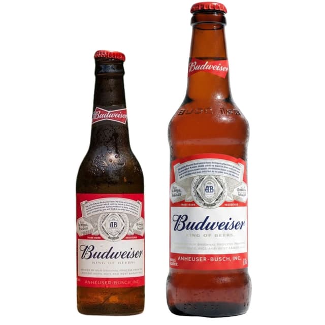Budweiser Magnum Super Premium Strong Beer
