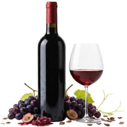 Wine