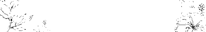 bg overlay 01 free img