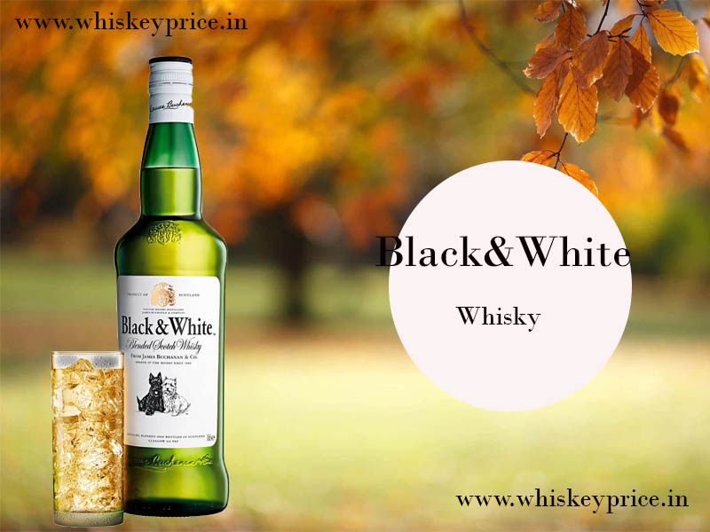 Black And White Whisky Price in India