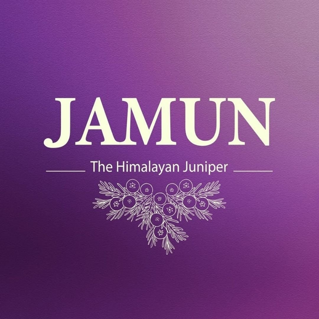 Jamun Dry Gin price in india