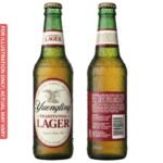 Yuengling Traditional Lager
