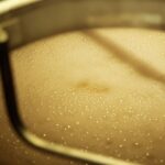 Fermentation whiskey process