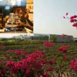 Fratelli Winery